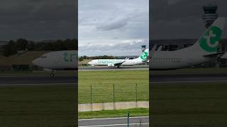 Transavia landing at Brussels aviation spotter boeing737 boeing b737 transavia brussels fyp [upl. by Shepard414]