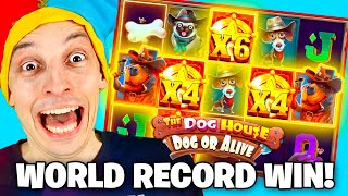 RECORD BREAKING WIN The Dog House Dog or Alive Slot Biggest Bonus [upl. by Adrahc]