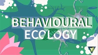 ًWhat is Behavioural Ecology [upl. by Ahsitam633]