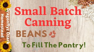 Small Batch Canning Beans How To [upl. by Ingeberg4]