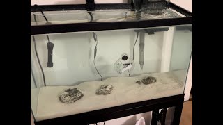 SALTWATER Aquarium SETUP [upl. by Rosner]