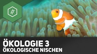 Umweltfaktoren und Ökologische Nischen  Ökologie 3 [upl. by Nebe]