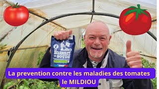 Comment protèger avec le bicarbonate de soude sur vos tomates  contre le MILDIOU [upl. by Morena]