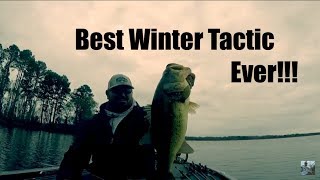 Winter Bass Fishing Chatterbait Tips [upl. by Dian]