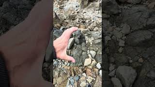 Dolerite dyke cutting granite [upl. by Ellen278]