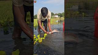 😲How to fish with arrow bowpart19 ikan busur peşte ikan shorts vairal channa [upl. by Burny749]