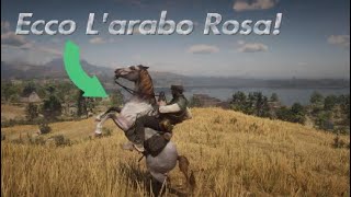 COME PRENDERE IL MIGLIOR CAVALLO ARABO ROSA SU RED DEAD REDEMPTION 2 [upl. by Goldina]