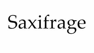 How to Pronounce Saxifrage [upl. by Vasilek]