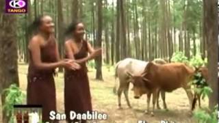 Fayyisaa Furii San Daabilee Oromo Music [upl. by Volotta991]