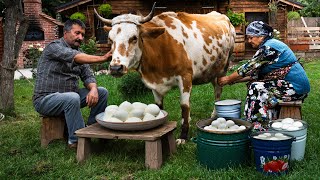 Fresh Adana Cheese from Cows Milk A Village Tradition 🐄🍃 [upl. by Ecnarret924]