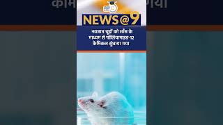 Microplastics in Lungs Hearts and brains of Newborns  Amrit Upadhyay  StudyIQ IAS Hindi [upl. by Nemrak]