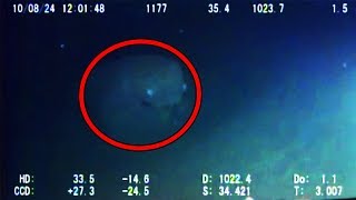 12 Mysterious Underwater Creatures Caught on Tape [upl. by Dosi261]