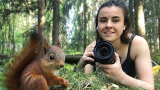 I rescued four baby red squirrels The Squirrels amp Me [upl. by Hannaj]