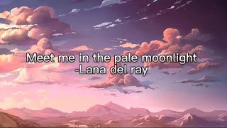 Meet me in the pale moonlight Lana del ray karaoke [upl. by Koralie699]