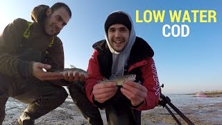 Fishing Brothers  Cod Fishing South Wales [upl. by Horne418]