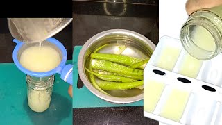 ताजेतवाने त्वचेसाठी कोरफड आणि खोबरेल तेल जेल  home made Aloevera gel [upl. by Abbot]