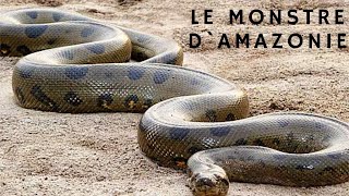 LAnaconda Géant Le monstre dAmazonie  Documentaire [upl. by Hugo918]