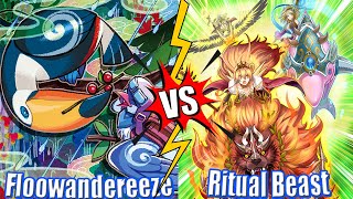 Floowandereeze vs Ritual Beast  High Rated DB YuGiOh  Dueling Book [upl. by Nera]