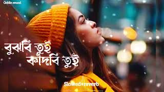 বুঝবি তুই কাঁদবি তুই bujbe tui kadbi tui SlowedReverb Lofi Song 🥀 [upl. by Hunley]