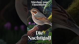 Die Nachtigall  Short märchen hörbuch [upl. by Letsirk773]