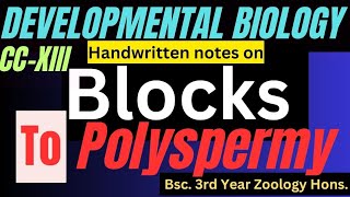 Blocks to polyspermy ll what is polyspermy blocks to polyspermy in developmental biology ll CCXIII [upl. by Llekcir309]