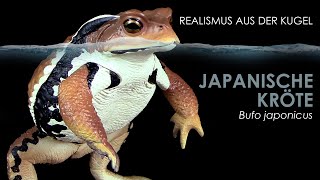 Japanische Kröte  Azuma Toad  Bufo japonicus  realistisches Modell  Gashapon Unboxing amp Review [upl. by Niltak]