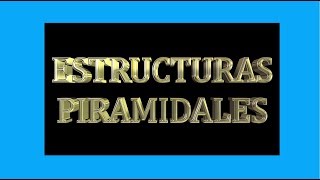 estructuras piramidales [upl. by Akelahs]