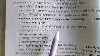 वृषण तथा अंडाशय के दो दो प्रमुख कार्यों का वर्णन कीजिए ।। वृषण के प्रमुख कार्य ।। अंडाशय के प्रमुख [upl. by Ahtebbat43]