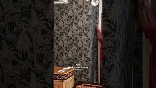 black wallcoverings interiordesign gemmyhome home [upl. by Ysied74]