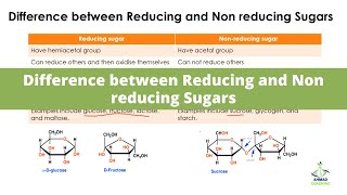 Difference between Reducing and Non reducing Sugars [upl. by Guttery515]