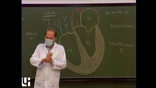 Anatomie générale 3  Appareil circulatoire General anatomy of the circulatory system [upl. by Doone]