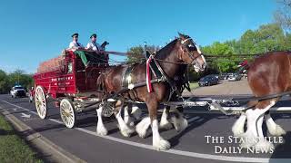 Budweiser Clydesdales visit Starkville [upl. by Odlauso]