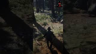 Plucking Lady Slipper Orchid RDR2  reddeadredmption2 CowBoy gaming rdrgameplay [upl. by Landing]