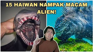 15 Haiwan Nampak Macam Alien [upl. by Yole252]