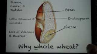 Why Whole Wheat [upl. by Jarlath972]