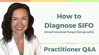 QampA How to Diagnose SIFO small intestine fungal overgrowth  Candida  Yeast Overgrowth [upl. by Geiss745]