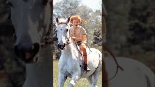 How Pippi Longstockings Horse Escaped The Nazis [upl. by Steffi141]