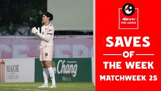 Saves of the Week  Match Week 25 [upl. by Reinal]