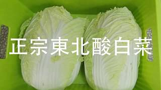 ENG SUB解密 如何在家輕鬆做正宗東北酸白菜  How to make Chinese Sauerkraut at Home [upl. by Hairas]