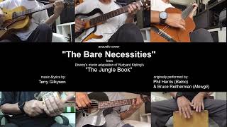 quotThe Bear Necessitiesquot instrumental cover [upl. by Ennayhc]