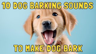 Dog Barking Sounds to Make Your Dog Bark [upl. by Mazur]