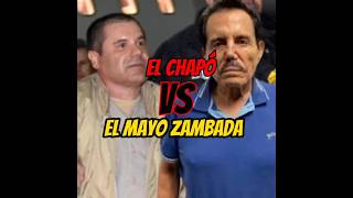 Chapó vs mayo narcos narcosmexico [upl. by Steady]