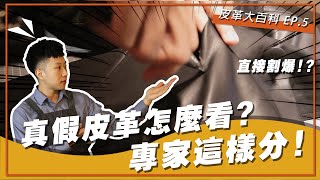 真皮假皮怎麼分？直接割爆一件皮衣，讓你一目瞭然！  皮革大百科 EP5 [upl. by Akihc144]