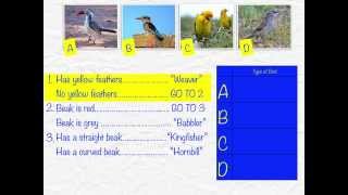 Using Dichotomous Keys [upl. by Whitnell]