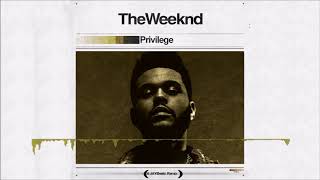 The Weeknd  Privilege A JAYBeatz Remix HVLM [upl. by Lidia682]