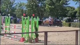 Vincero  Show Jumper  Vingino  2018  Gelding [upl. by Dammahum117]