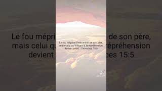 Proverbe🤍✝️ lumière ☄️🕊️☄️ Amour✨ Dieu ✝️ bible 🙏 [upl. by Nalro615]