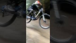 Dyfi bike park new section mtb dyfi downhill [upl. by Gaul304]