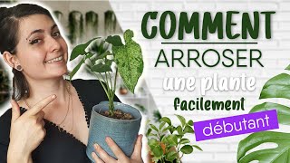 COMMENT ARROSER SES PLANTES DINTÉRIEUR  🌿 [upl. by Anaitsirc]