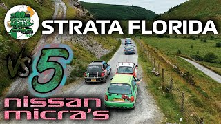 STRATA FLORIDA vs 5 NISSAN MICRAS bangersandcash24 [upl. by Forrester]